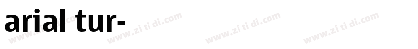 arial tur字体转换